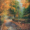 Осенняя палитра.....