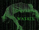 MATRIX