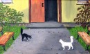Кошки