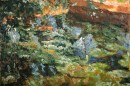 Кувшинки