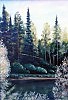 103. река Летка. Слизов кодж