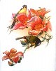 Копия картины Zeng Xiao Lian