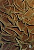������-������ 1
