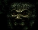 Взгляд из темноты