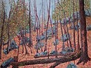 Forest (Karmel Lake)