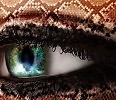 Snake eye