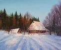 Зима в ШЕВЧЕНКОВСКОМ ГАЮ
