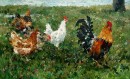 Петух и куры
