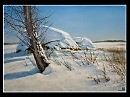 Стожок