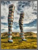 Сапоги