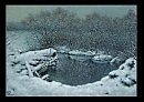 Нарык