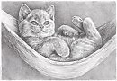 Котенок отдыхает :)