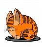 котик