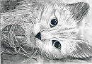 кошка и клубок