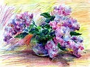 Сирень