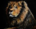 Король лев