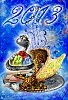 С Новым 2013 годом!