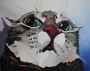 Кот