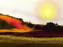 natura