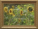 Подсолнухи  х.м
