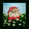 мой кот Сеня
