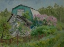 Сирень цветёт.