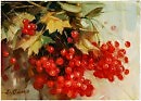гроздь калины