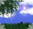 Работа для портфолио 4