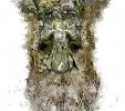 Старичок-лесовичок