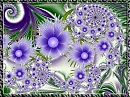 Васильки