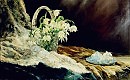 Подснежники