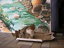 мои мастерские