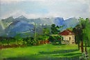 Абхазия. Раннее утро в Лыхнах (цикорий)