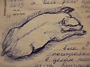 Хрюшка с натуры.