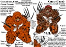 Сиах - универсальный рукопашник - Сианоид. (Страница 2 - Расцветки.)