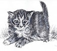Милашка