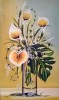 (Calla)