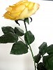 Роза интерьерная из зефирного фоамирана