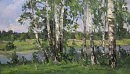 Берёзы у воды 2014 х.м 35х60