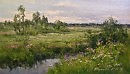В лугах 2010 х.м 35х60