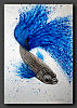 Blue Dance