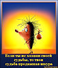Судьба