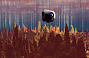 OTHER WORLD 1