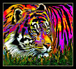 Тигр / Tiger