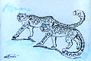 Барсы