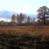 VJ30-